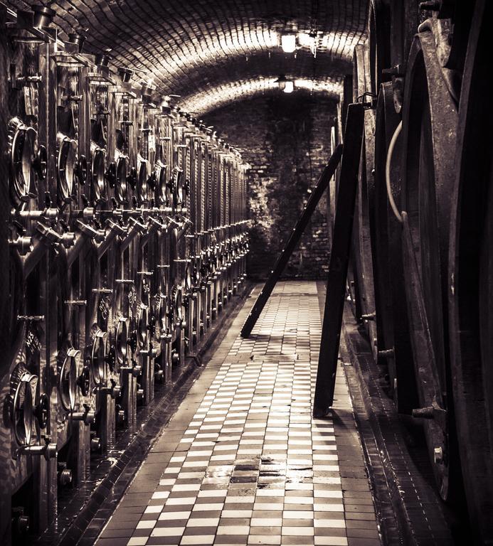 Penzion Vino Hruska Blatnicka Экстерьер фото